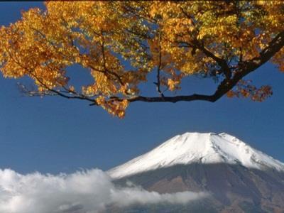 Pension Sumomo No Ki Oshino Экстерьер фото