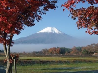 Pension Sumomo No Ki Oshino Экстерьер фото